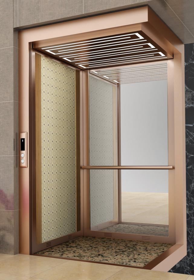 Dara Model Asansör Kabini.